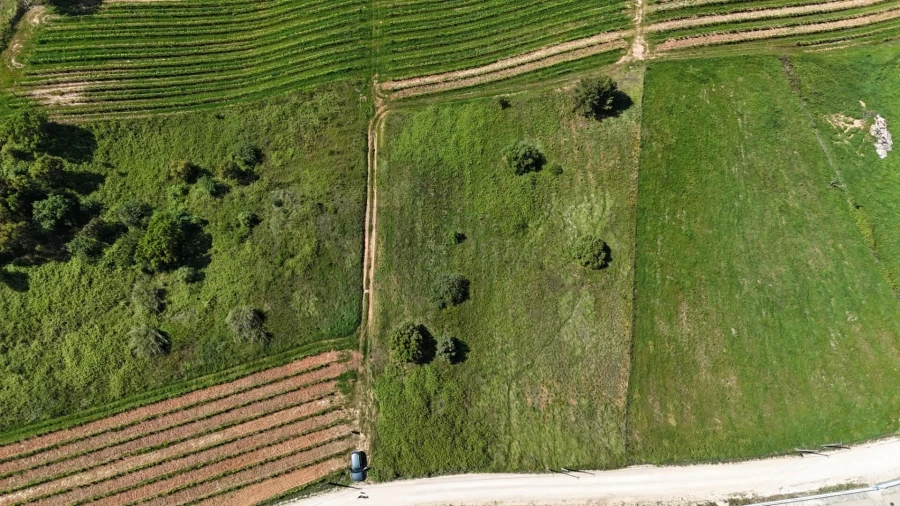 Terreno para Venda em Olhalvo Foto 18