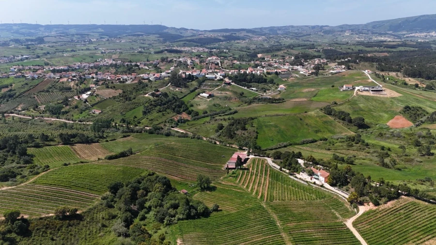 Terreno para Venda em Olhalvo Foto 6