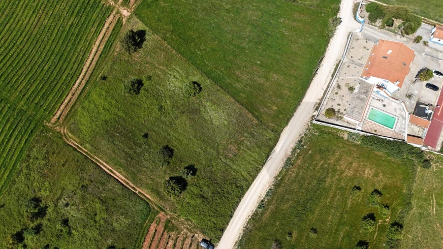 Terreno para Venda em Olhalvo Foto 19