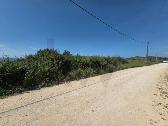 Terreno para Venda em Olhalvo Foto 13