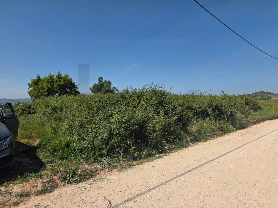 Terreno para Venda em Olhalvo Foto 1