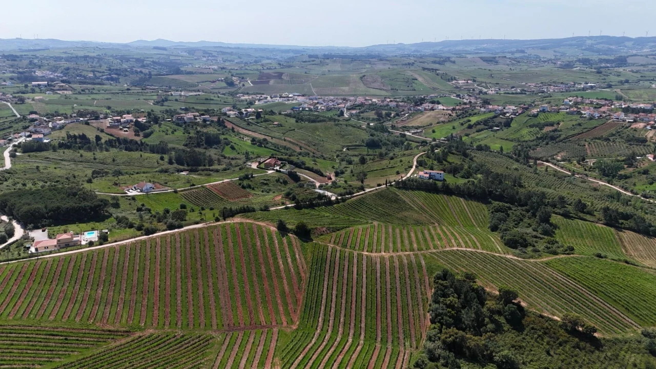 Terreno para Venda em Olhalvo Foto 7