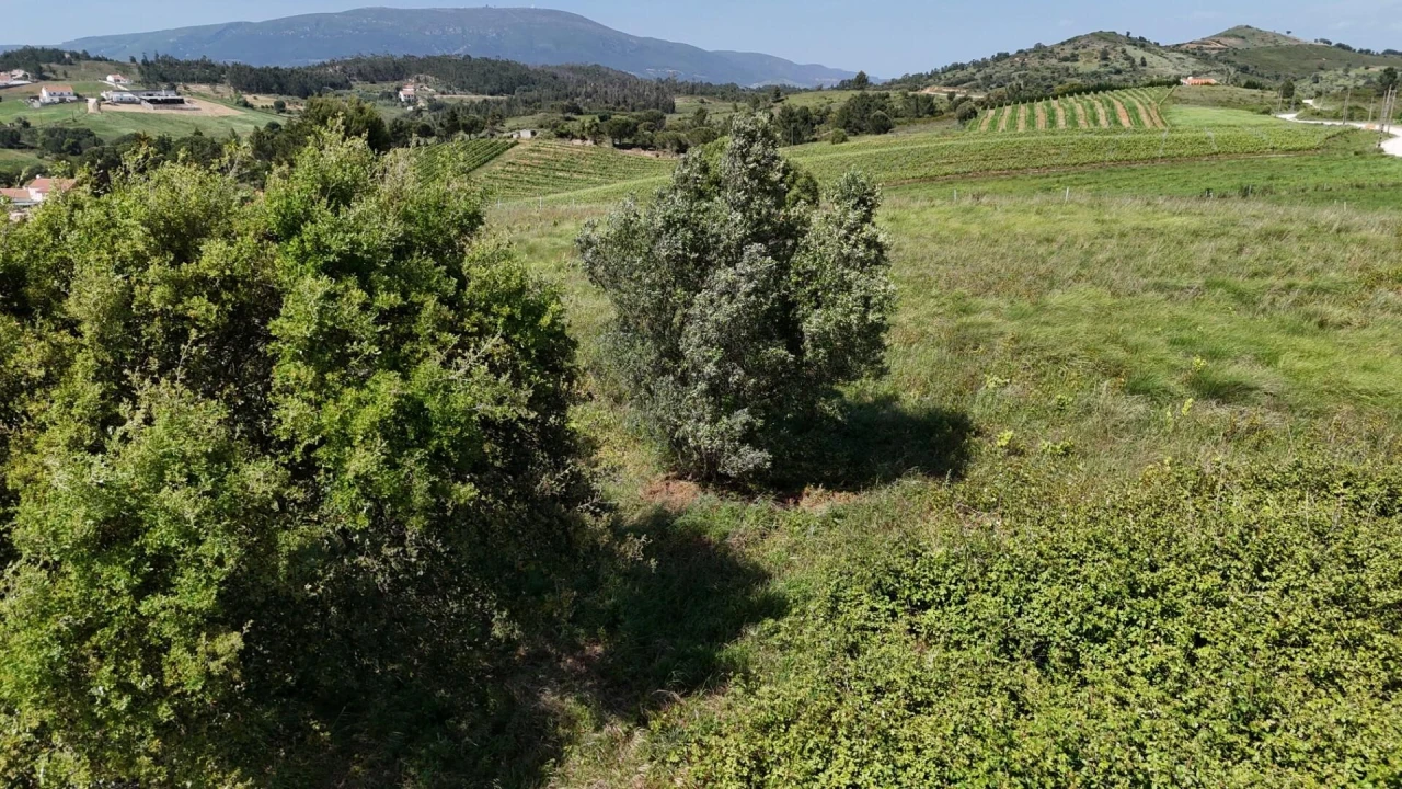 Terreno para Venda em Olhalvo Foto 10