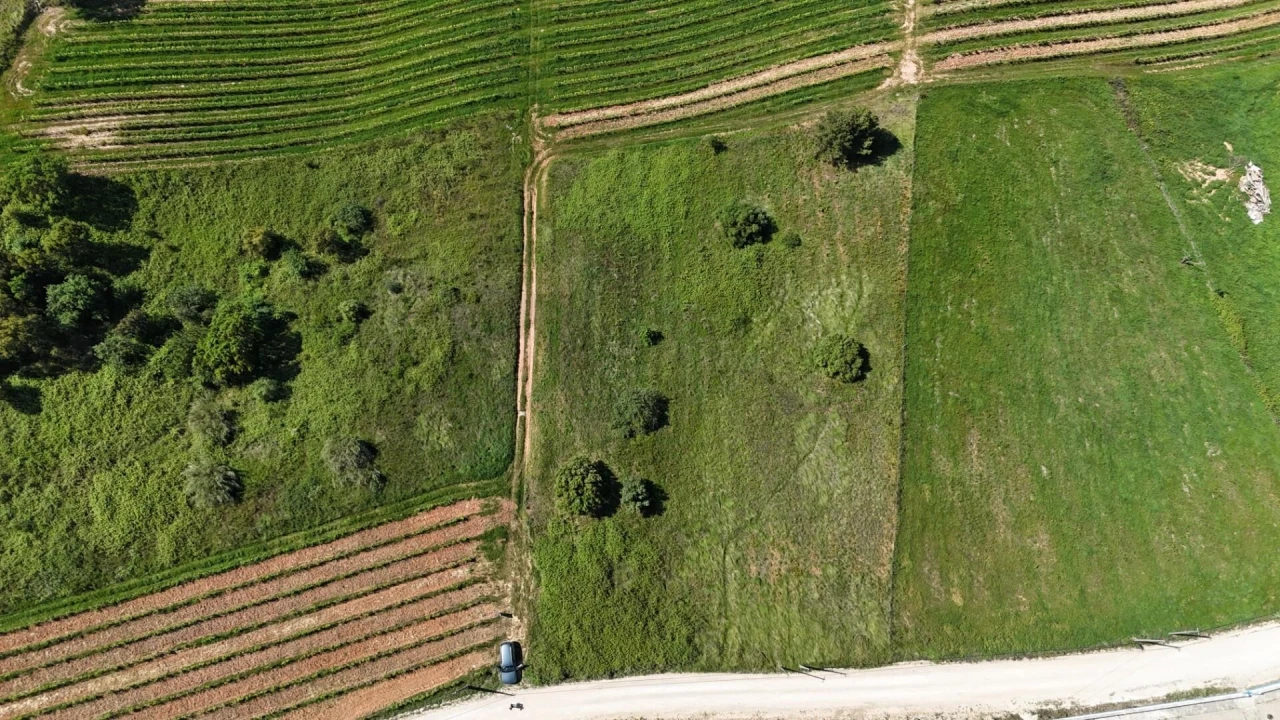 Terreno para Venda em Olhalvo Foto 4