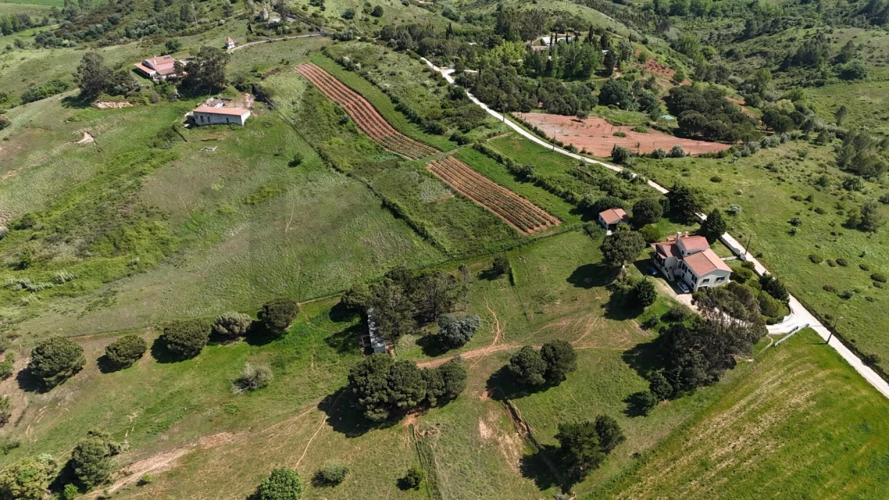 Terreno para Venda em Olhalvo Foto 8