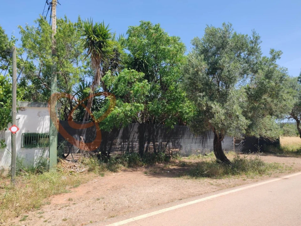 Terreno para Venda em Paderne Foto 5