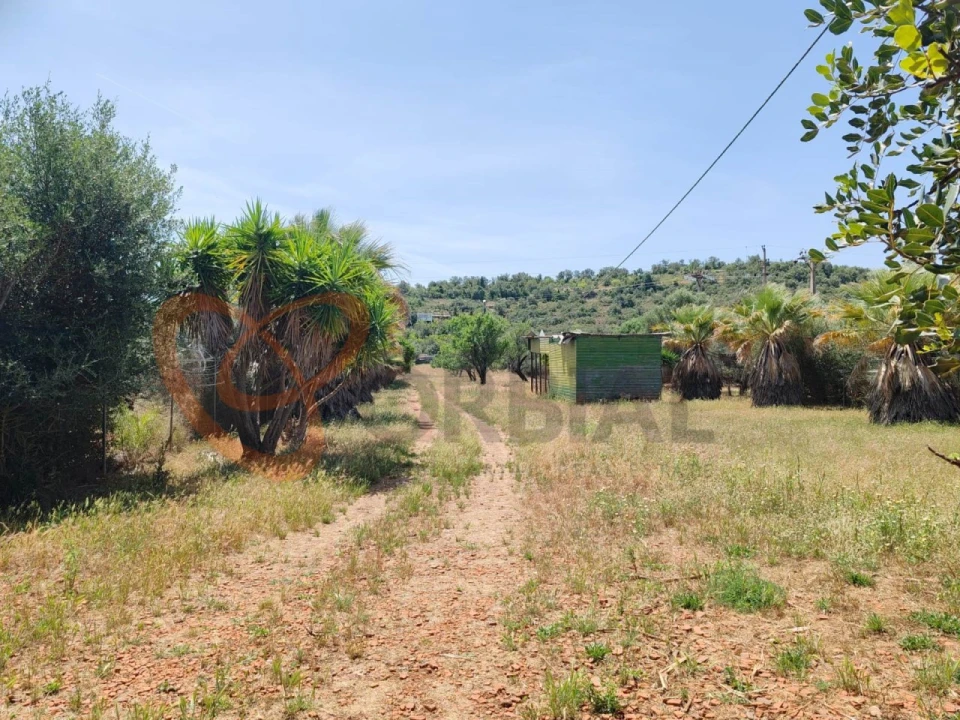 Terreno para Venda em Paderne Foto 3