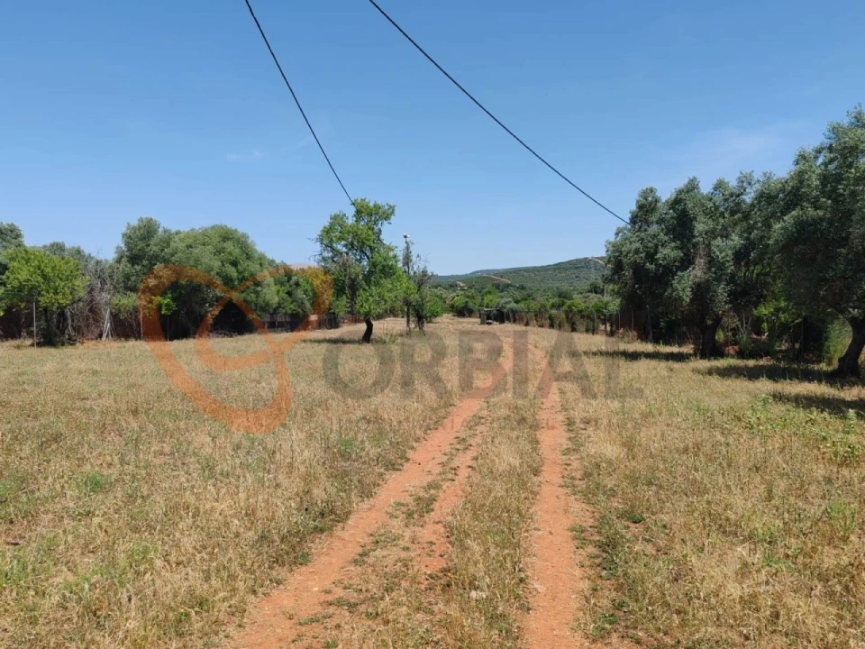 Terreno para Venda em Paderne Foto 2