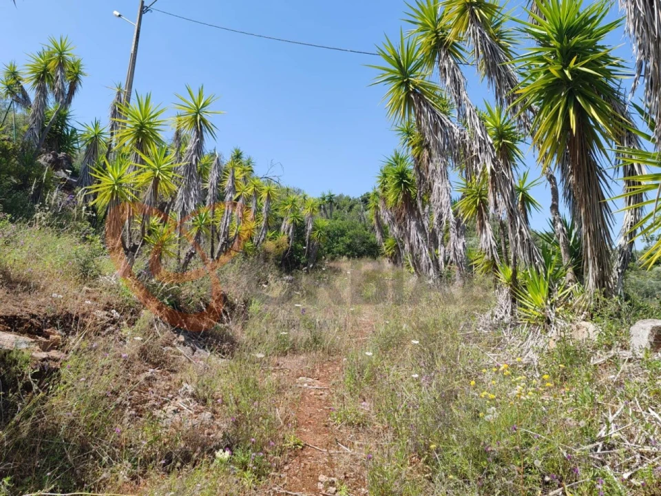 Terreno para Venda em Paderne Foto 10