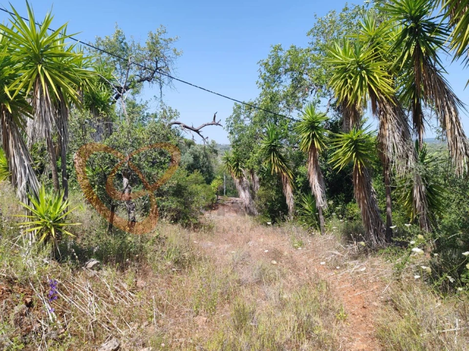 Terreno para Venda em Paderne Foto 9
