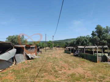 Terreno para Venda em Paderne