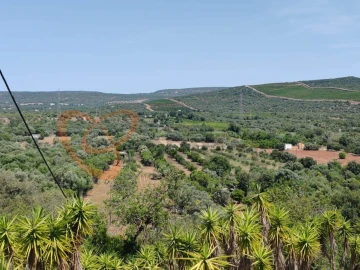 Terreno para Venda em Paderne