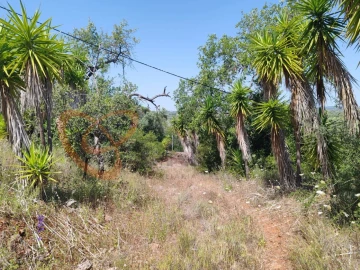 Terreno para Venda em Paderne