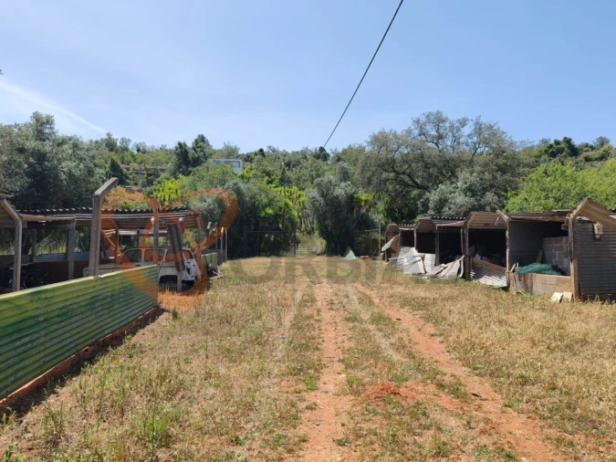 Terreno para Venda em Paderne Foto 16