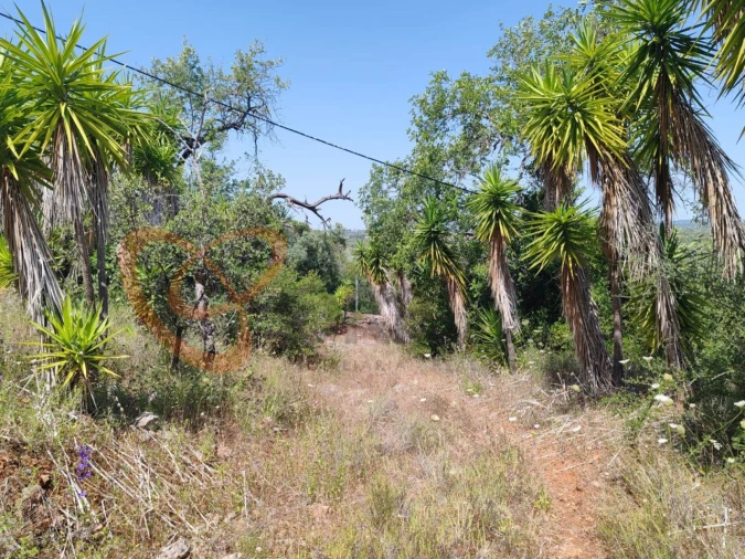Terreno para Venda em Paderne Foto 9