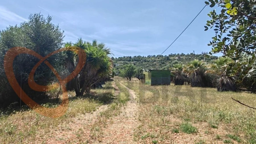 Terreno para Venda em Paderne
