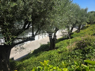 Apartamento T3 para Arrendamento em Carcavelos e Parede
