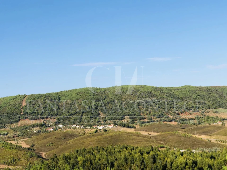 Terreno Misto para Venda em Reguengo e São Julião Foto 5