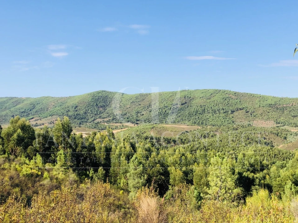 Terreno Misto para Venda em Reguengo e São Julião Foto 12