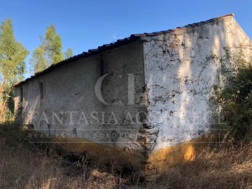 Terreno Misto para Venda em Reguengo e São Julião