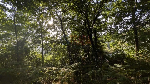 Terreno para Venda em Sande, Vilarinho, Barros e Gomide
