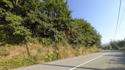 Terreno para Venda em Sande, Vilarinho, Barros e Gomide