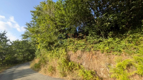 Terreno para Venda em Sande, Vilarinho, Barros e Gomide