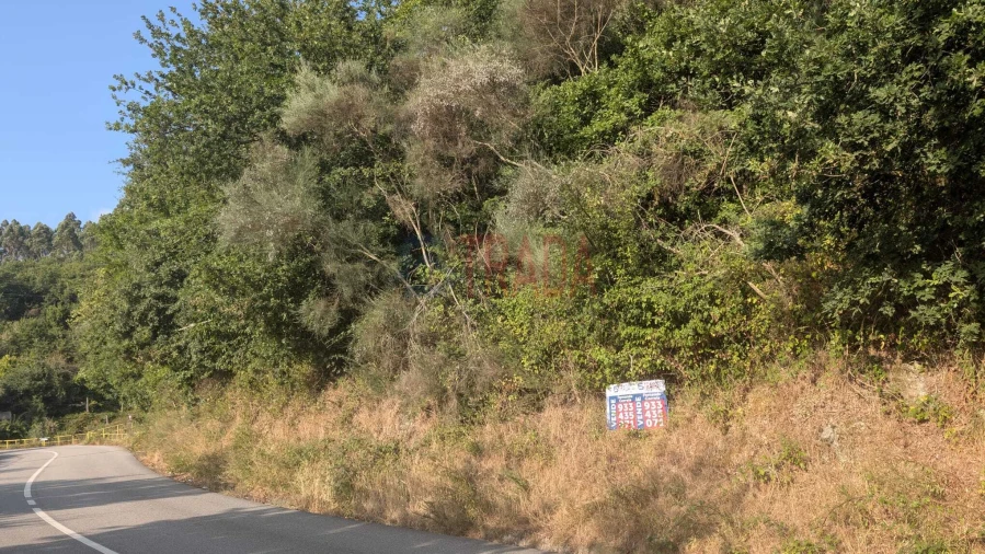 Terreno para Venda em Sande, Vilarinho, Barros e Gomide Foto 3