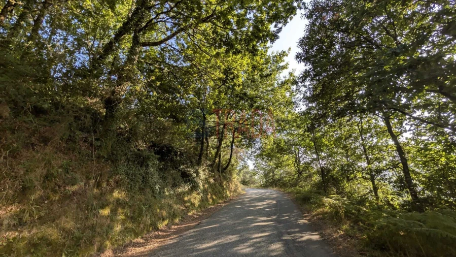 Terreno para Venda em Sande, Vilarinho, Barros e Gomide Foto 8