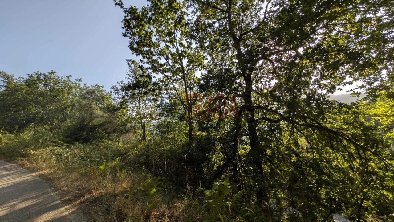 Terreno para Venda em Sande, Vilarinho, Barros e Gomide Foto 10