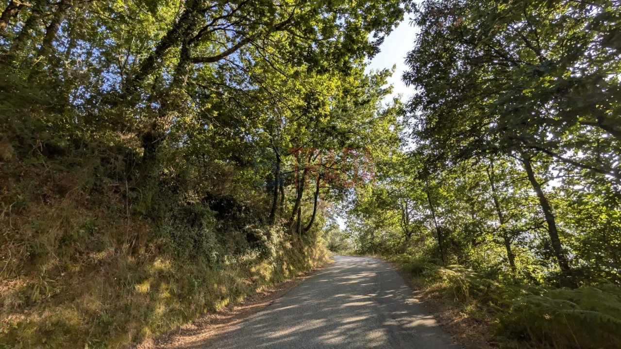 Terreno para Venda em Sande, Vilarinho, Barros e Gomide Foto 8
