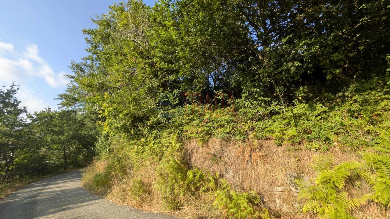 Terreno para Venda em Sande, Vilarinho, Barros e Gomide Foto 13