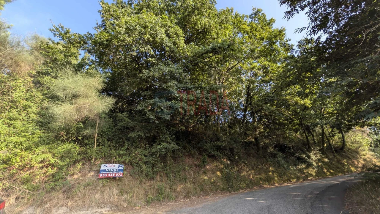 Terreno para Venda em Sande, Vilarinho, Barros e Gomide Foto 6