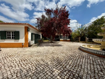 Moradia T5 para Venda em Paialvo
