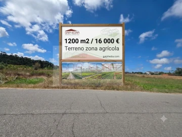 Terreno para Venda em Calvão