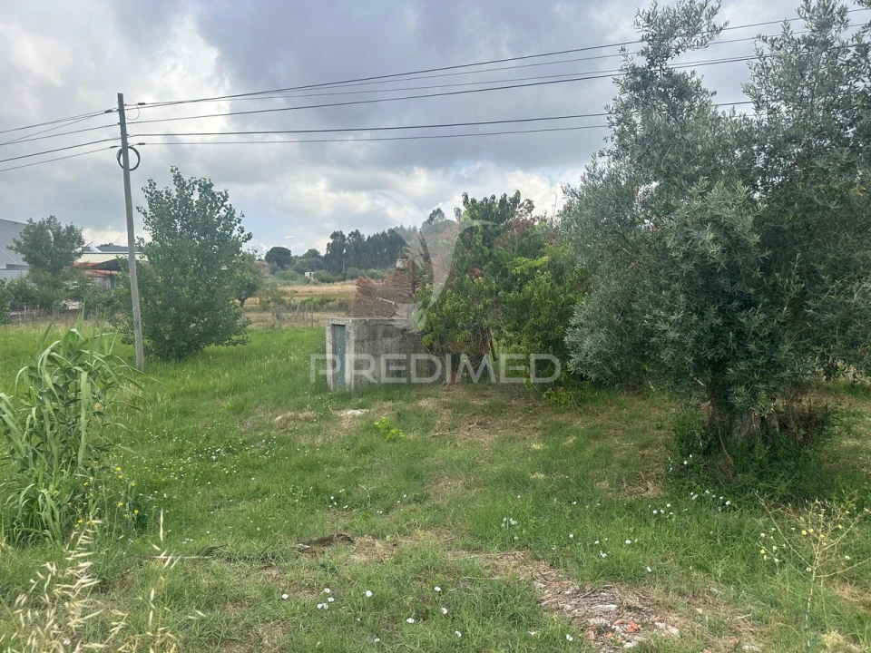 Terreno para Venda em São João da Ribeira e Ribeira de São João Foto 7