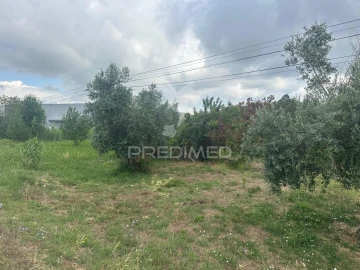 Terreno para Venda em São João da Ribeira e Ribeira de São João