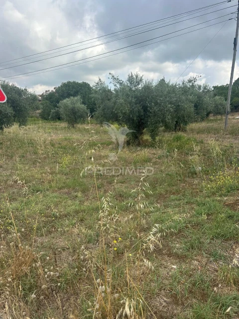 Terreno para Venda em São João da Ribeira e Ribeira de São João