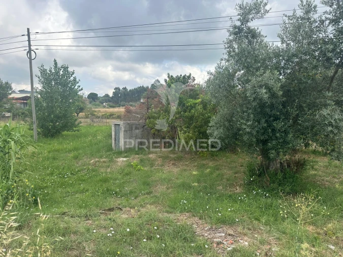 Terreno para Venda em São João da Ribeira e Ribeira de São João Foto 10