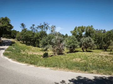 Terreno para Venda em Nossa Senhora das Misericordias