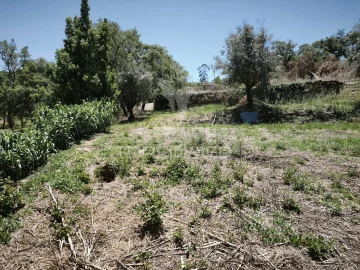 Terreno para Venda em Nossa Senhora das Misericordias