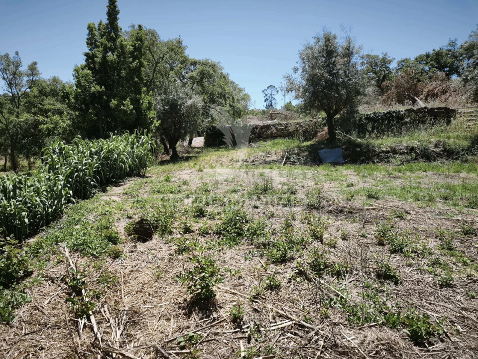 Terreno para Venda em Nossa Senhora das Misericordias Foto 5