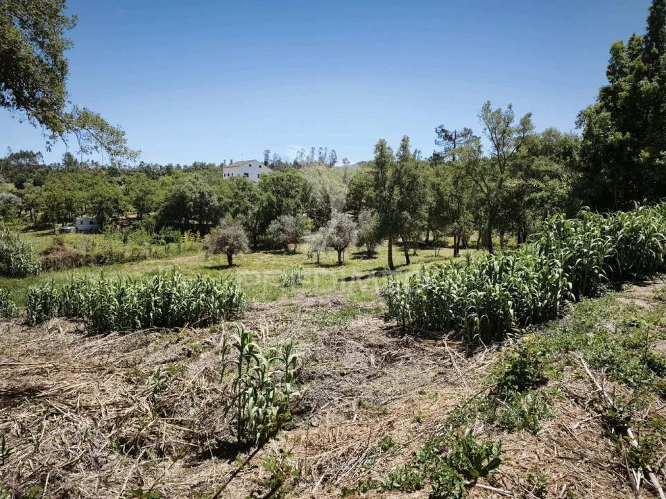 Terreno para Venda em Nossa Senhora das Misericordias Foto 4