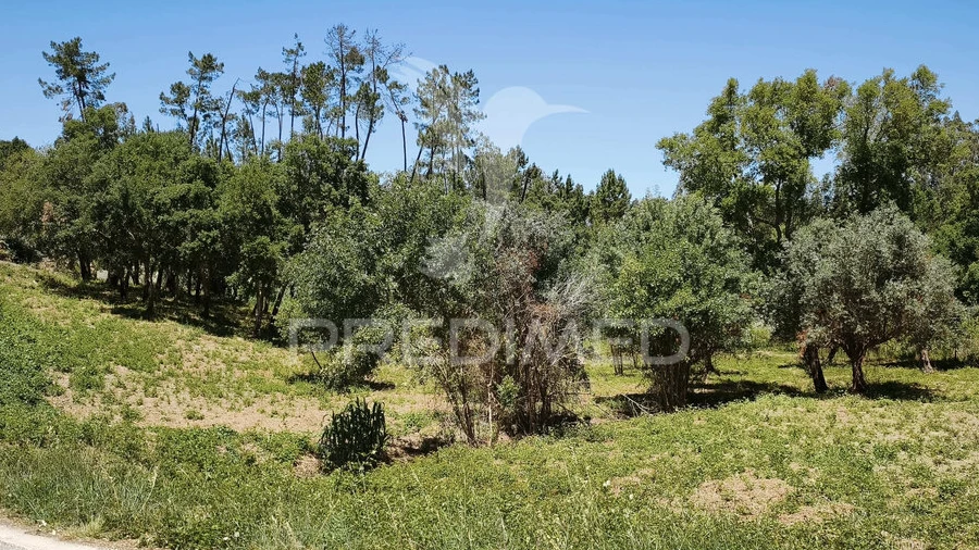 Terreno para Venda em Nossa Senhora das Misericordias