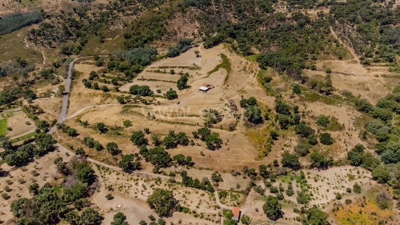 Quinta T0 para Venda em Telhado Foto 7