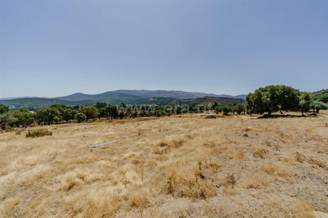 Quinta T0 para Venda em Telhado Foto 17