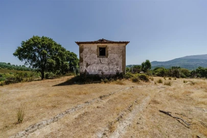 Quinta T0 para Venda em Telhado