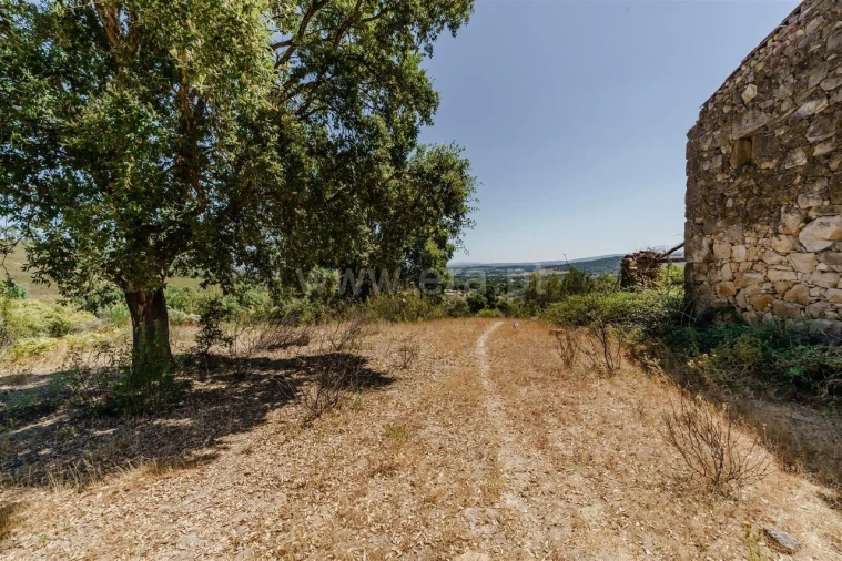 Quinta T0 para Venda em Telhado Foto 18