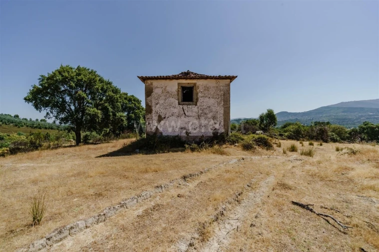 Quinta T0 para Venda em Telhado Foto 5