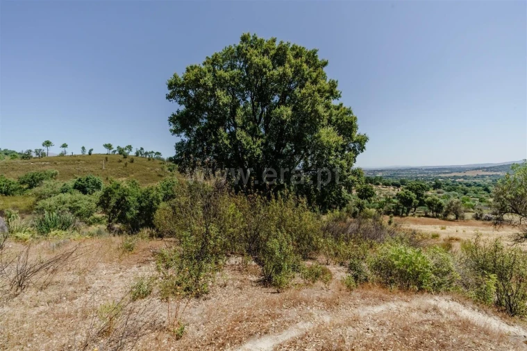 Quinta T0 para Venda em Telhado Foto 20